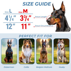 CleverTail muzzle on dog during grooming demonstrates calm restraint and easy handling