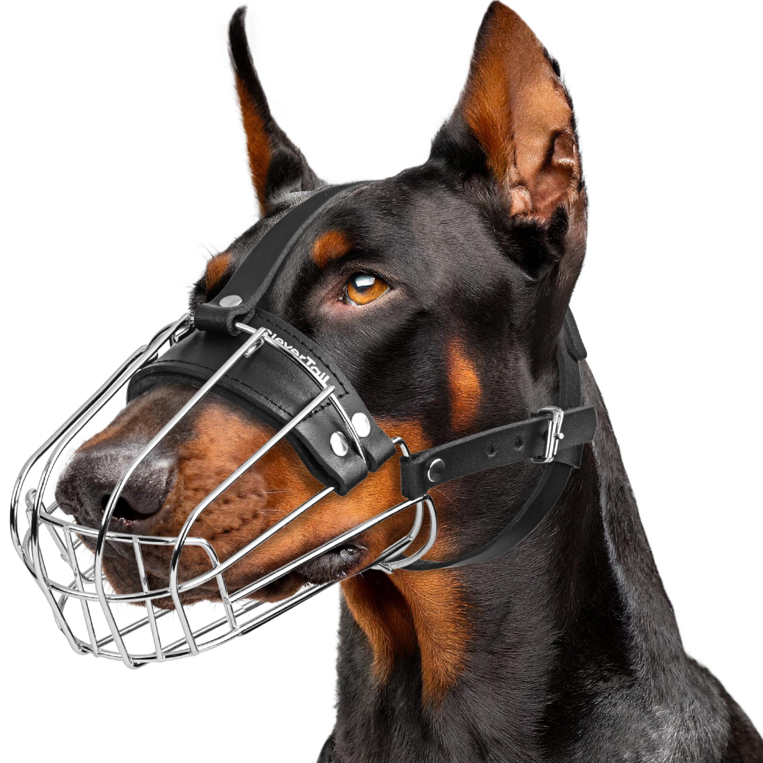 CleverTail metal doberman muzzle close-up highlights precise sizing for secure fit