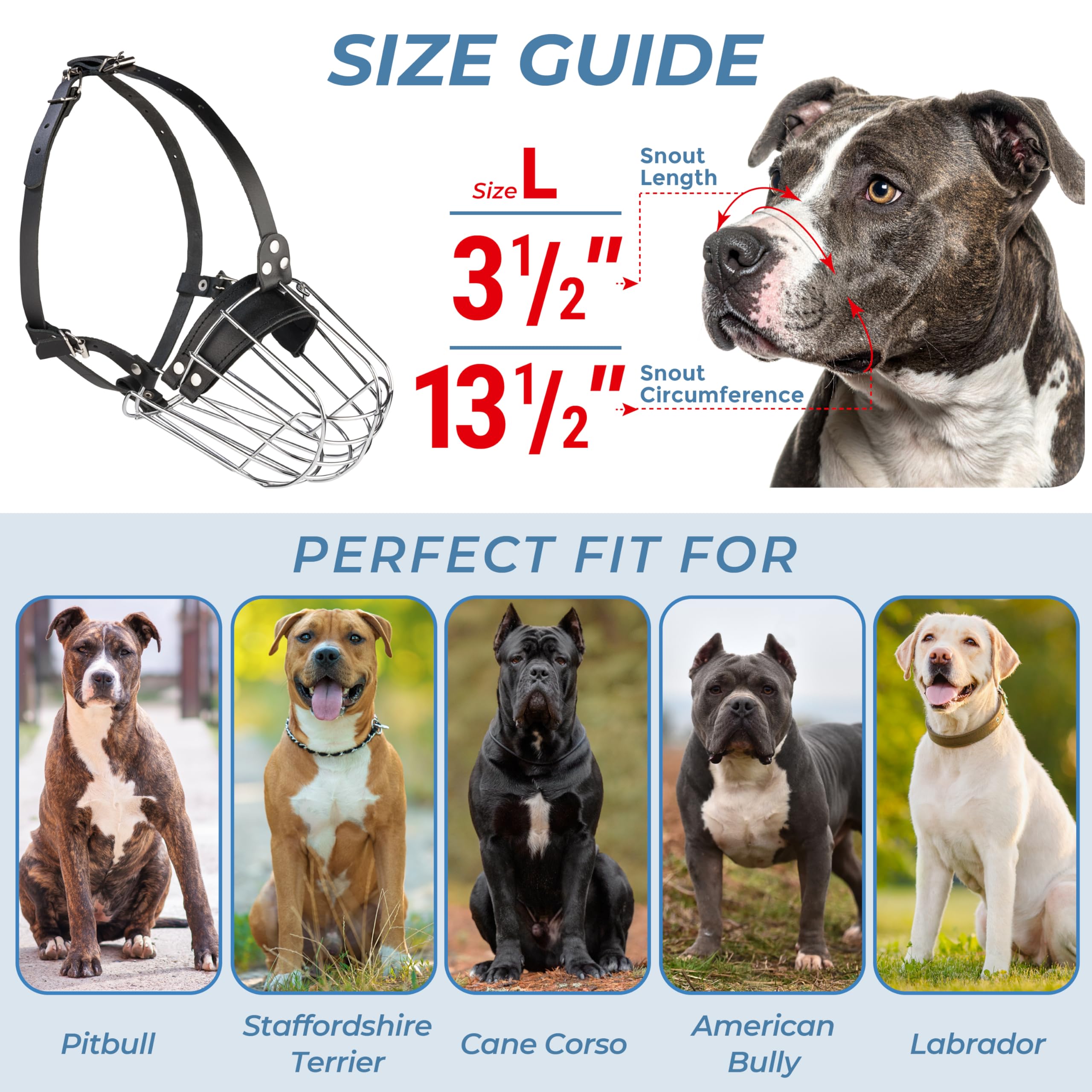 CleverTail Pitbull Muzzle leather straps closeup demonstrates durable materials and comfortable wear.