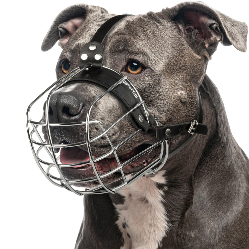 CleverTail Pitbull Muzzle side view showing secure basket design for safe walks.