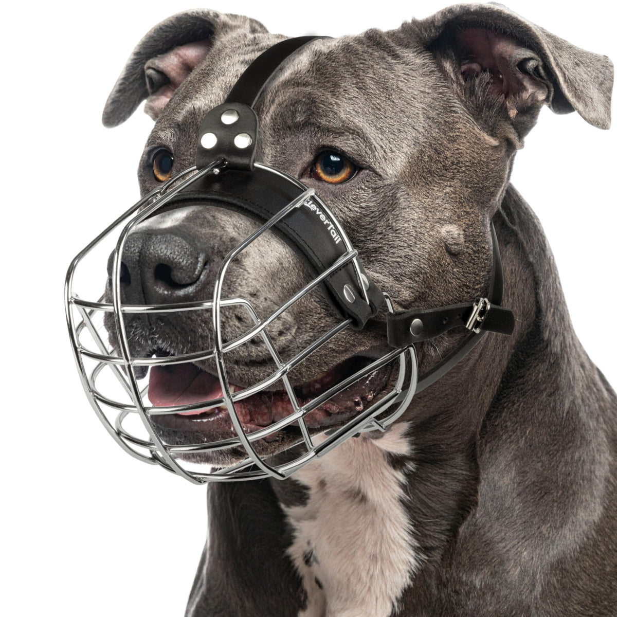 CleverTail Pitbull Muzzle side view showing secure basket design for safe walks.