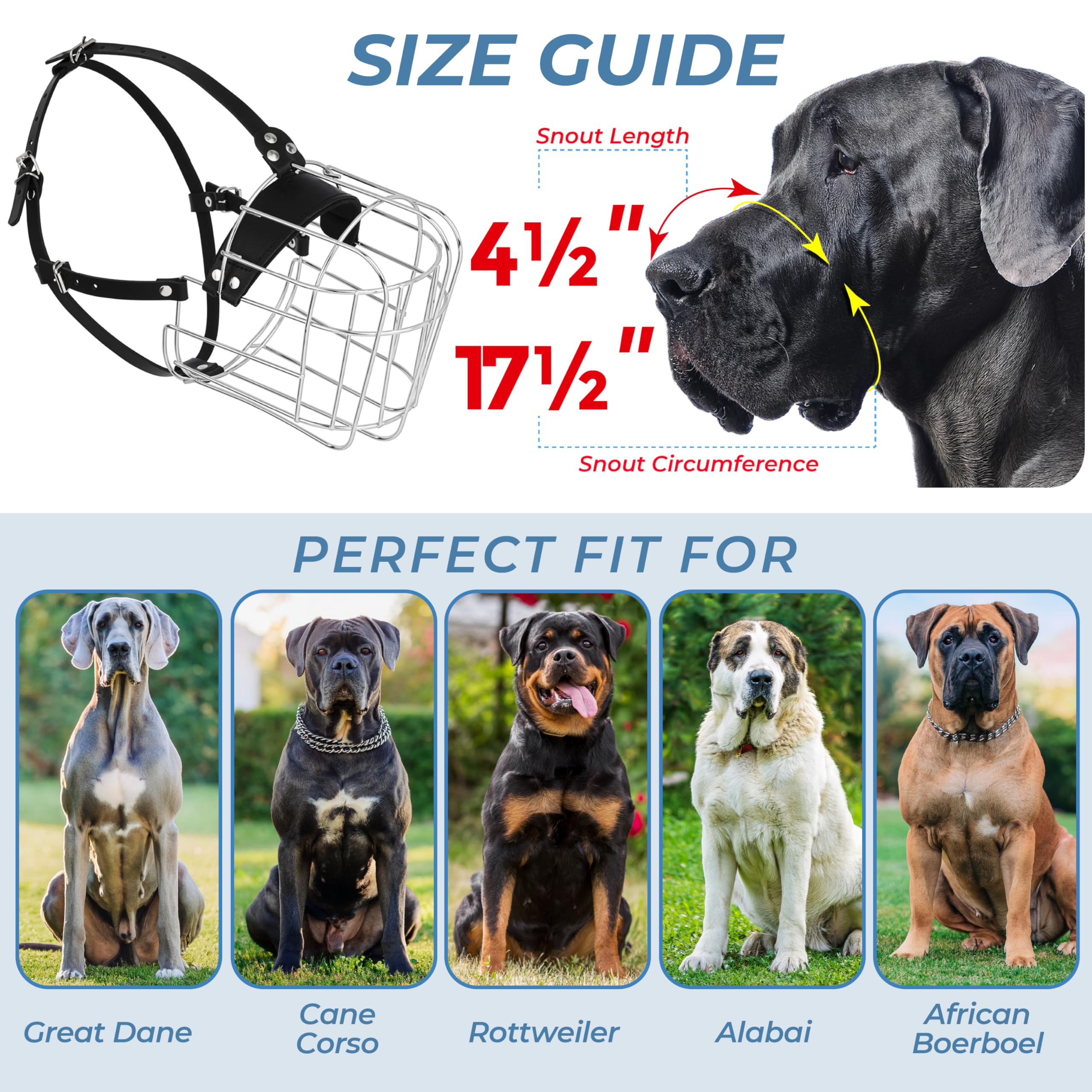 CleverTail XL adjustable leather straps demonstrate secure, comfortable fit.