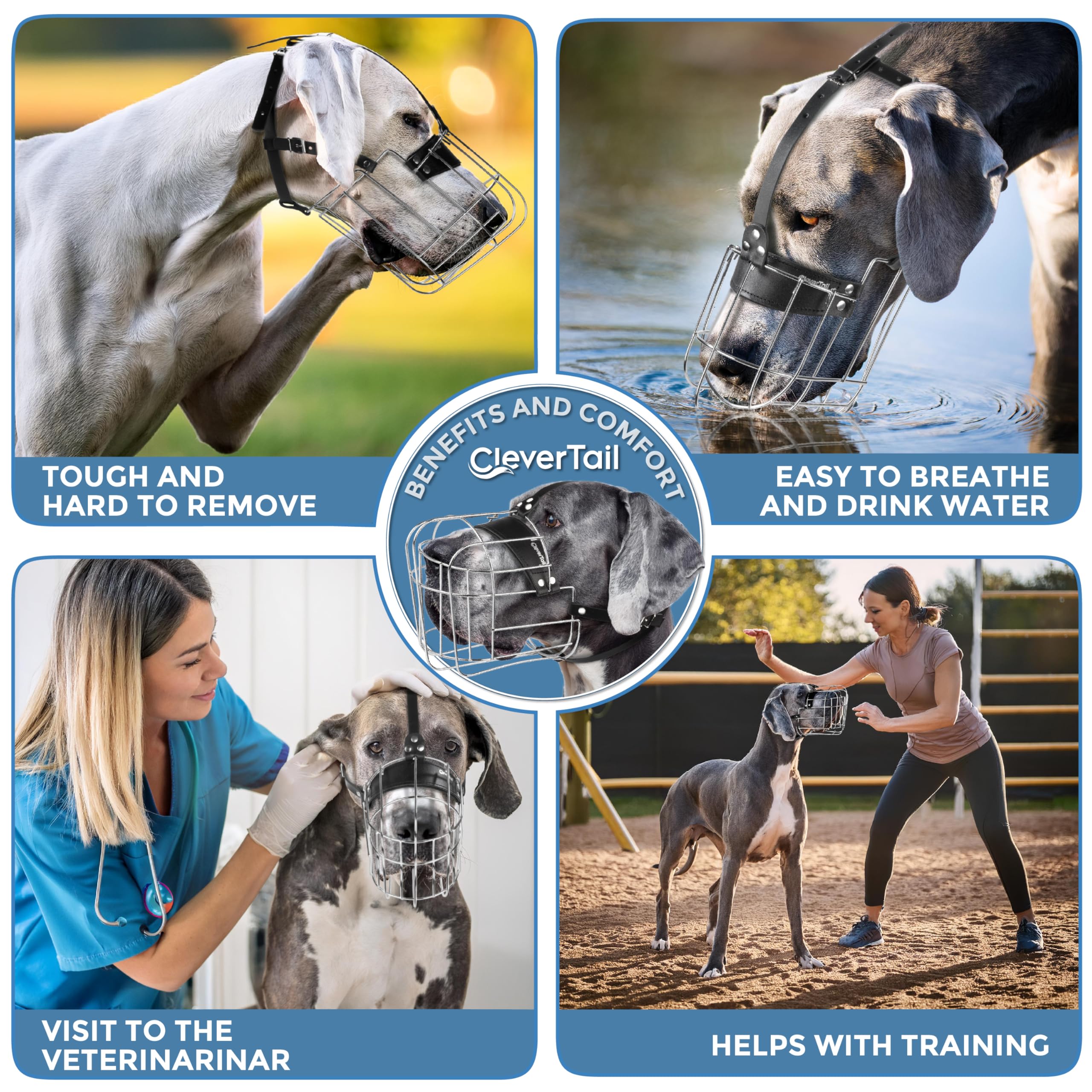 CleverTail XL vet visit use demonstrates safe handling during grooming.