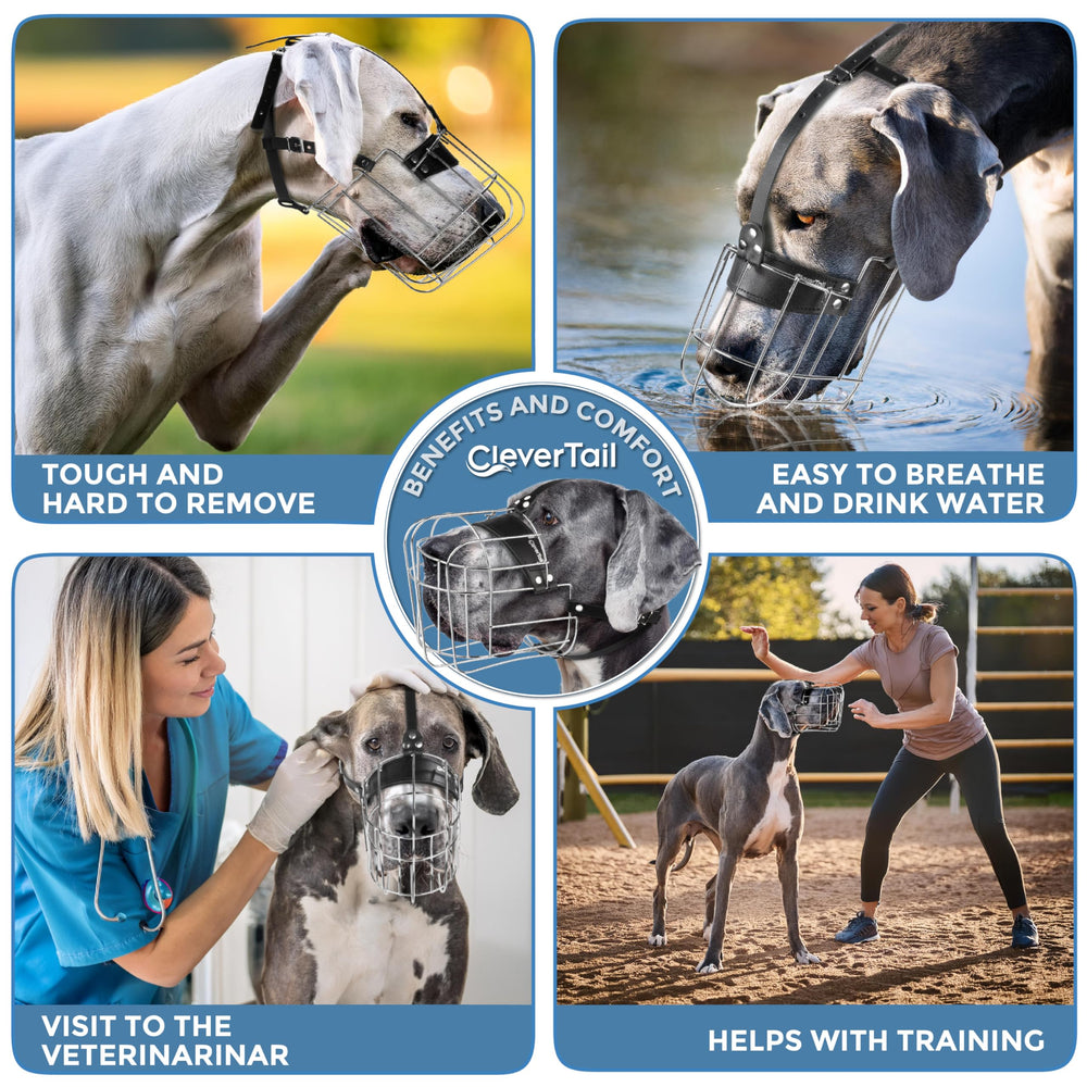 CleverTail XL vet visit use demonstrates safe handling during grooming.