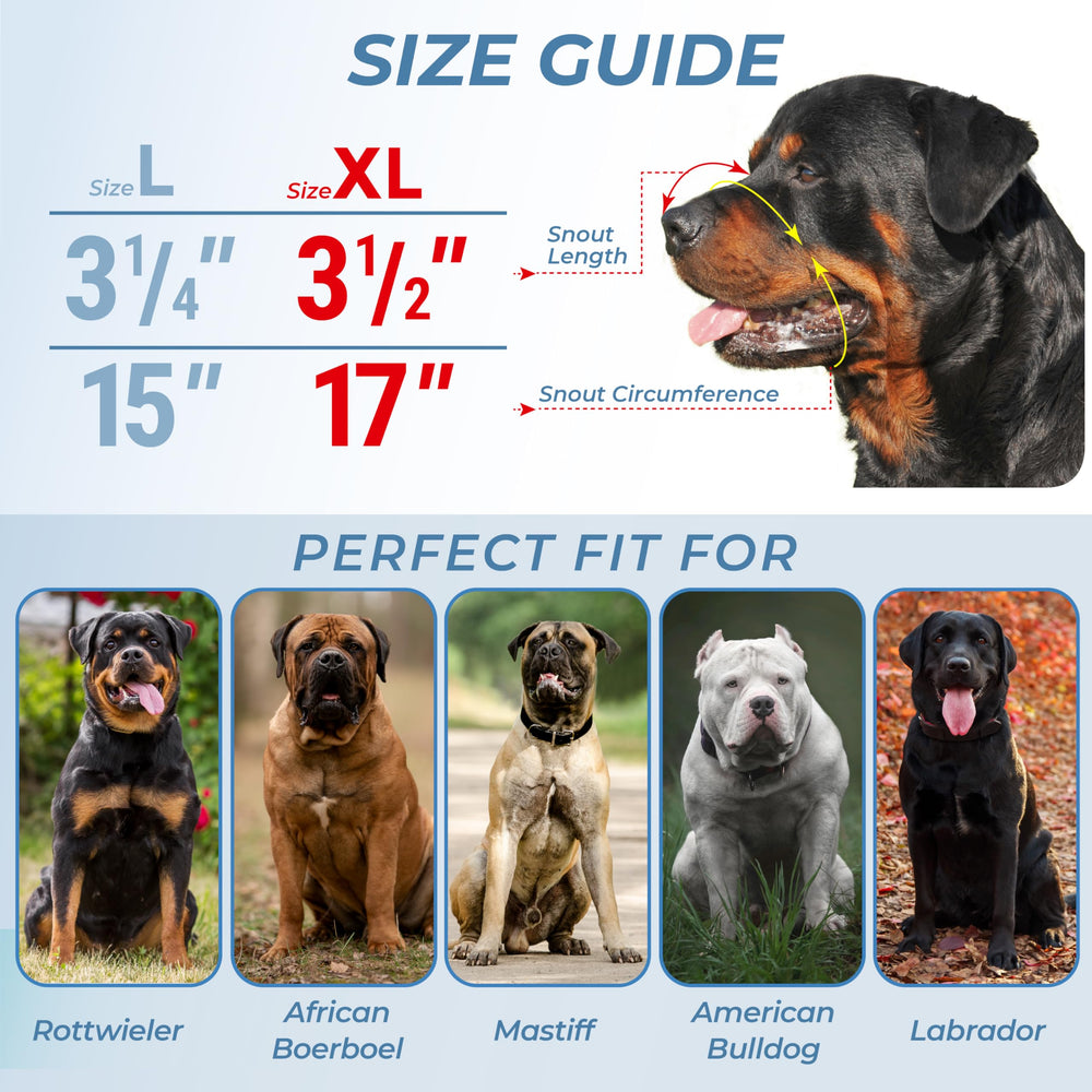 CleverTail XL metal dog muzzle basket-design close-up shows breathing-friendly basket allowing water intake.