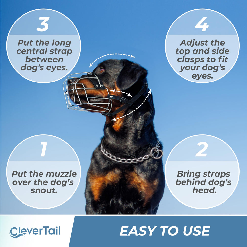 CleverTail XL metal dog muzzle large-breed-fit ready for daily walks and grooming.