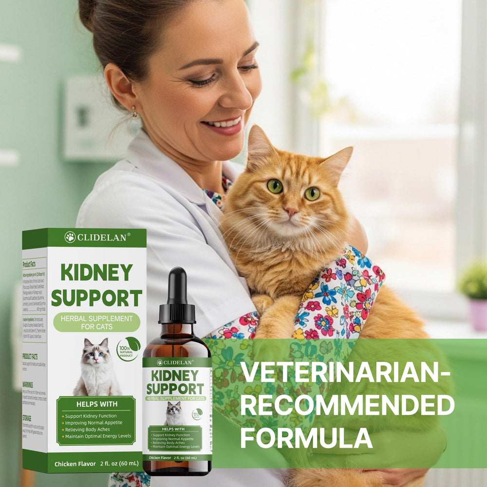 Clidelan Cat appetite boost visual implies renewed interest in meals and vitality.