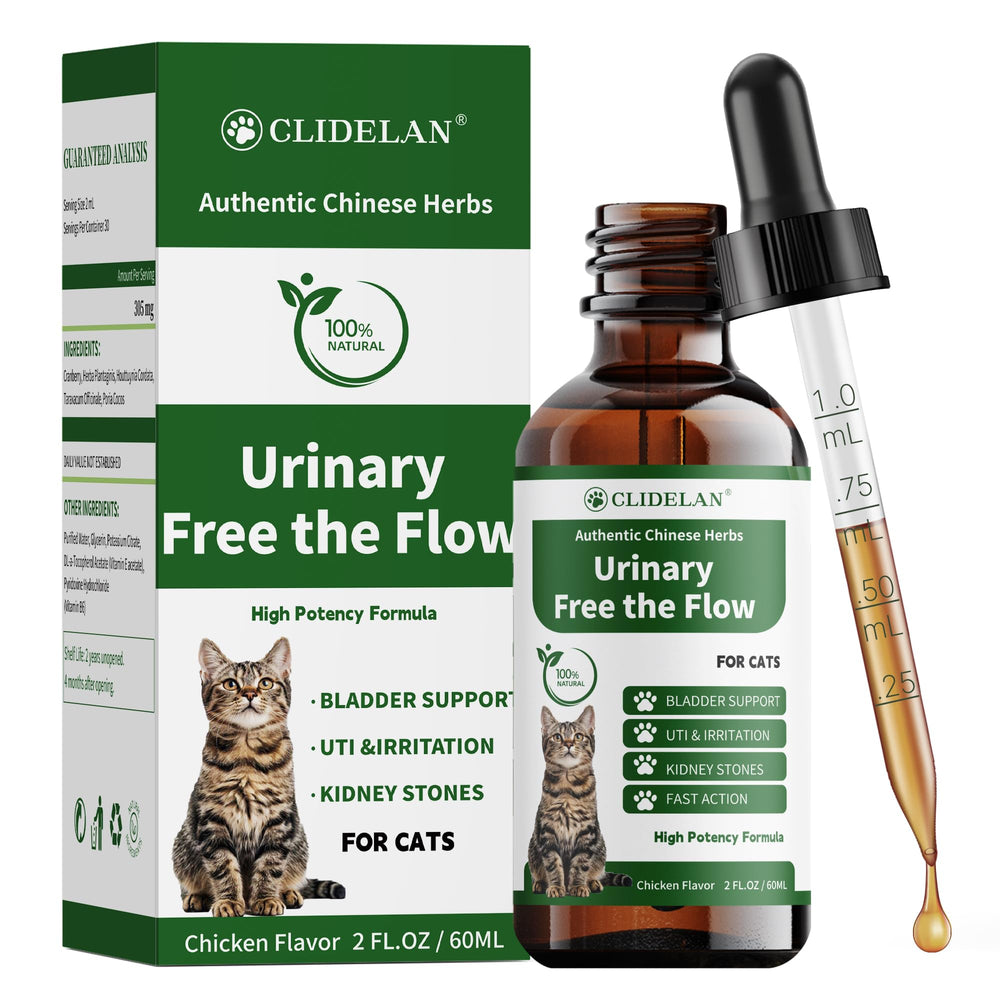 Clidelan Cat Bladder Stones Treatment bottle supports daily urinary wellness.