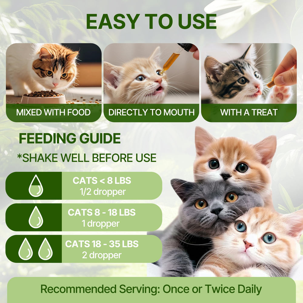 Clidelan Cat Daily wellness ritual imagery for long-term health.