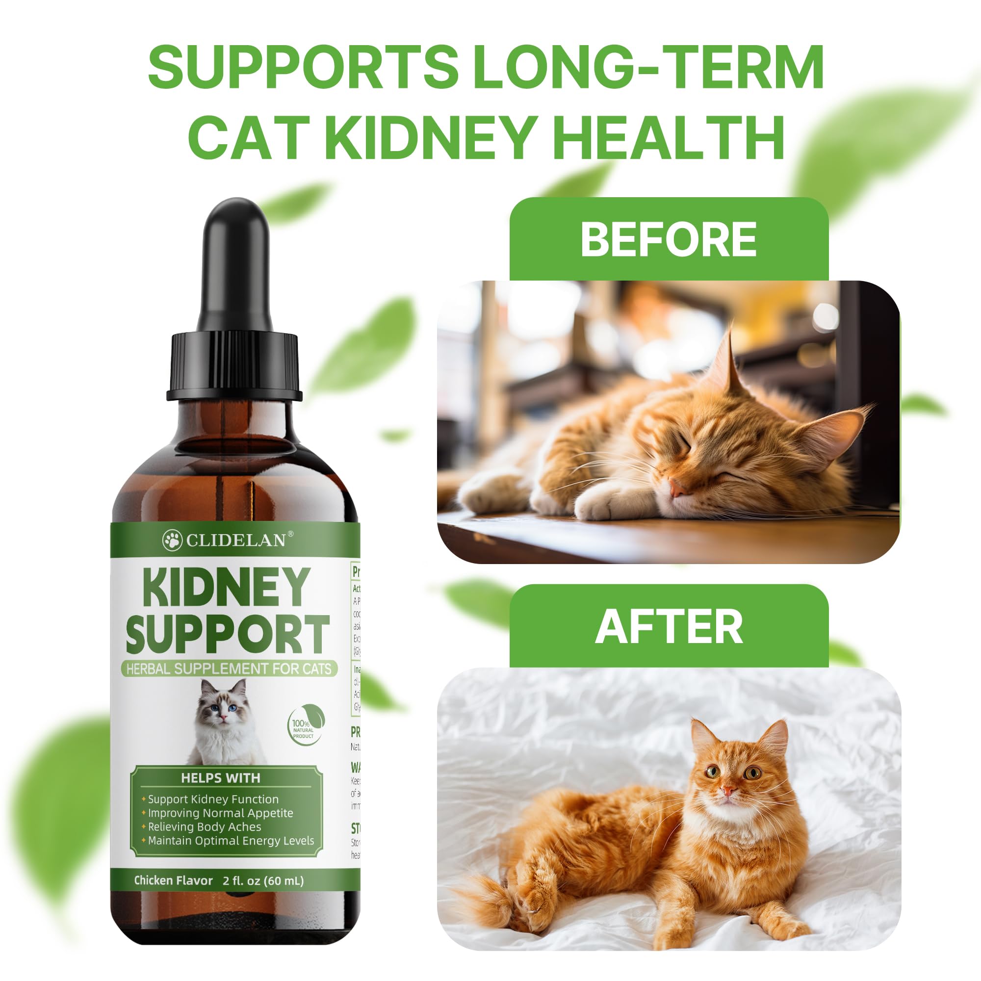 Clidelan Cat hydration support image suggests improved fluid balance and comfort.