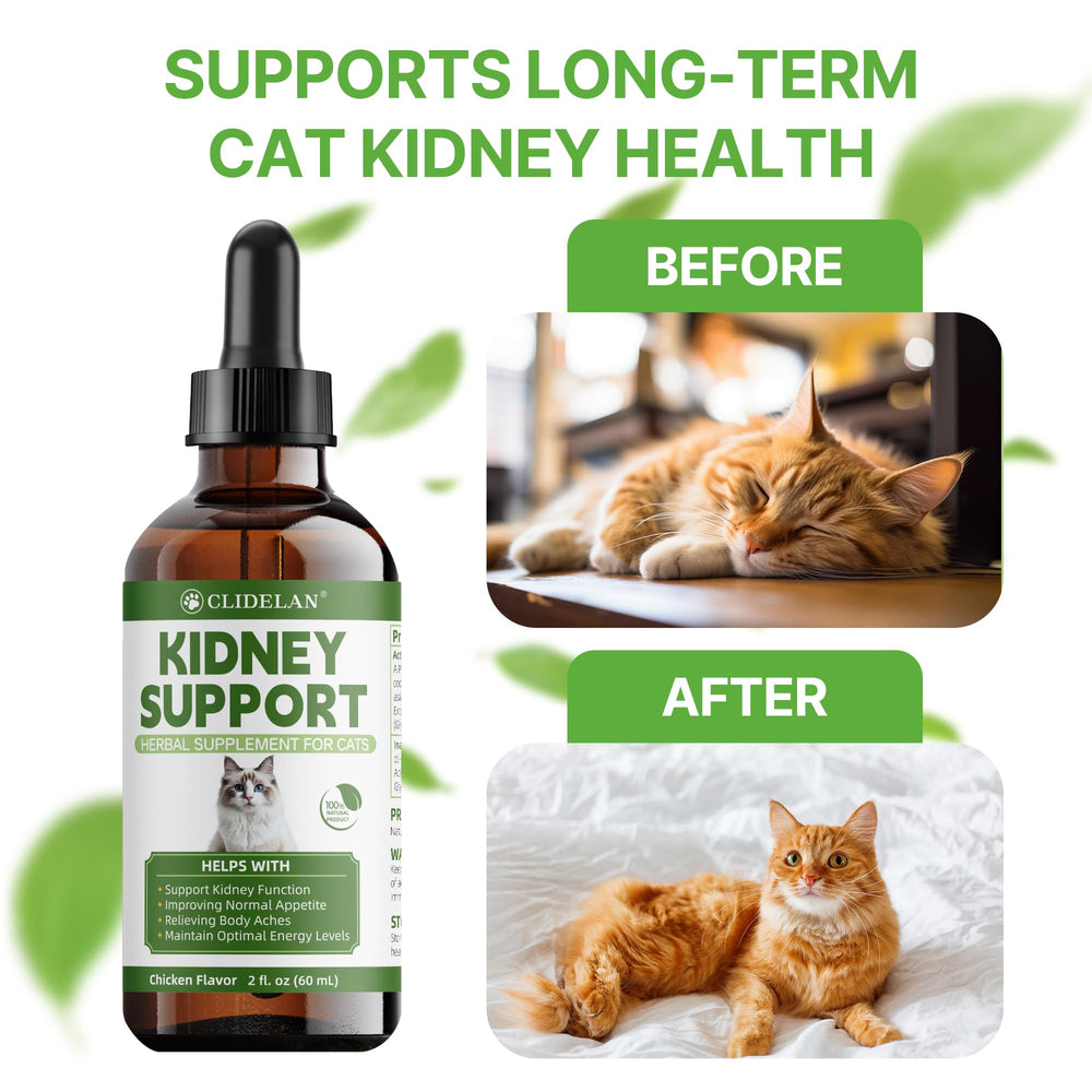 Clidelan Cat hydration support image suggests improved fluid balance and comfort.