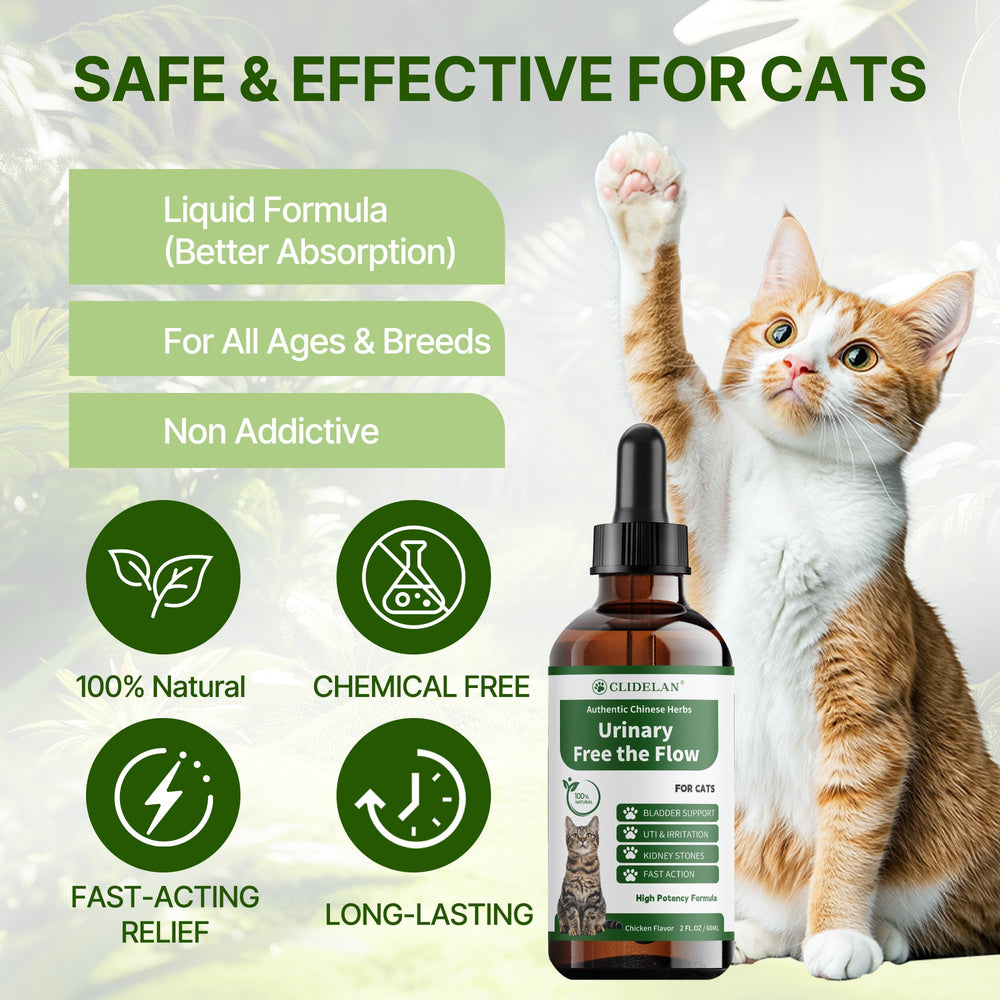 Clidelan Cat Safe Herbal Formula for gentle urinary support.