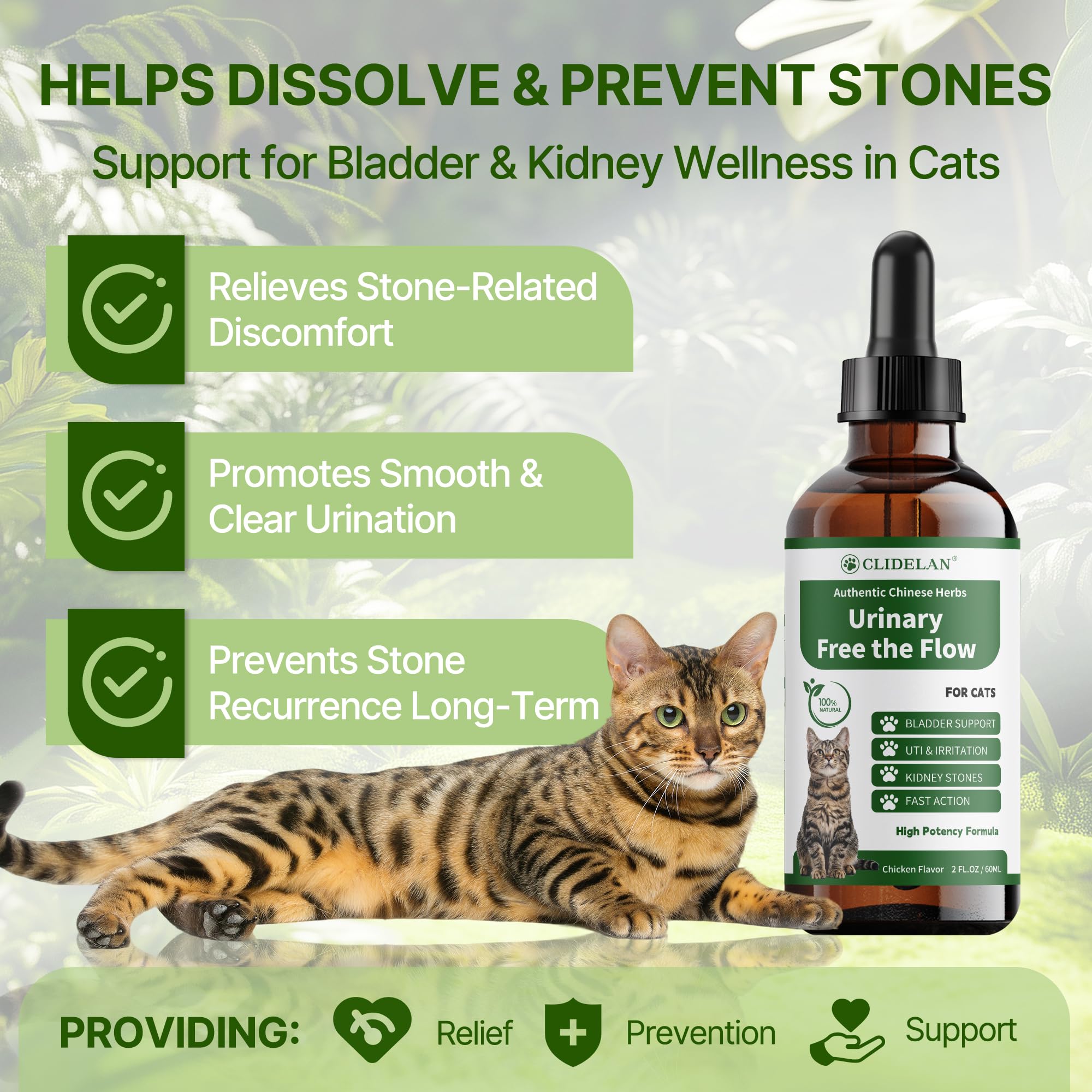 Clidelan Cat Urinary Flow Support dispensing shows easy dosing.