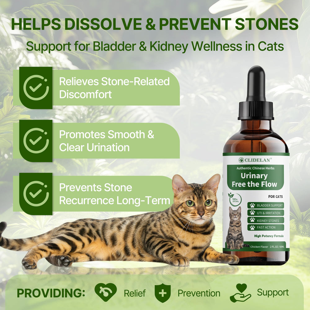 Clidelan Cat Urinary Flow Support dispensing shows easy dosing.