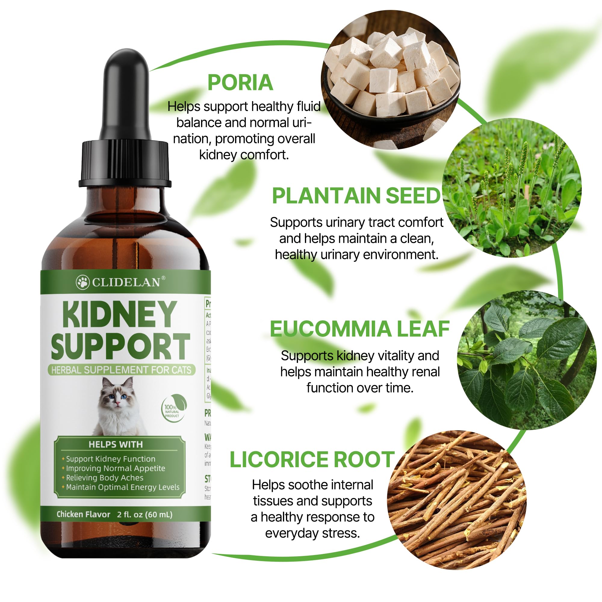Clidelan Herbal ingredients list emphasizes natural blends for holistic kidney-friendly care.
