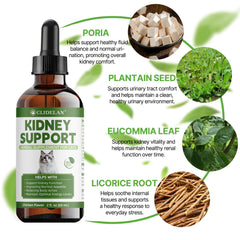 Clidelan Herbal ingredients list emphasizes natural blends for holistic kidney-friendly care.
