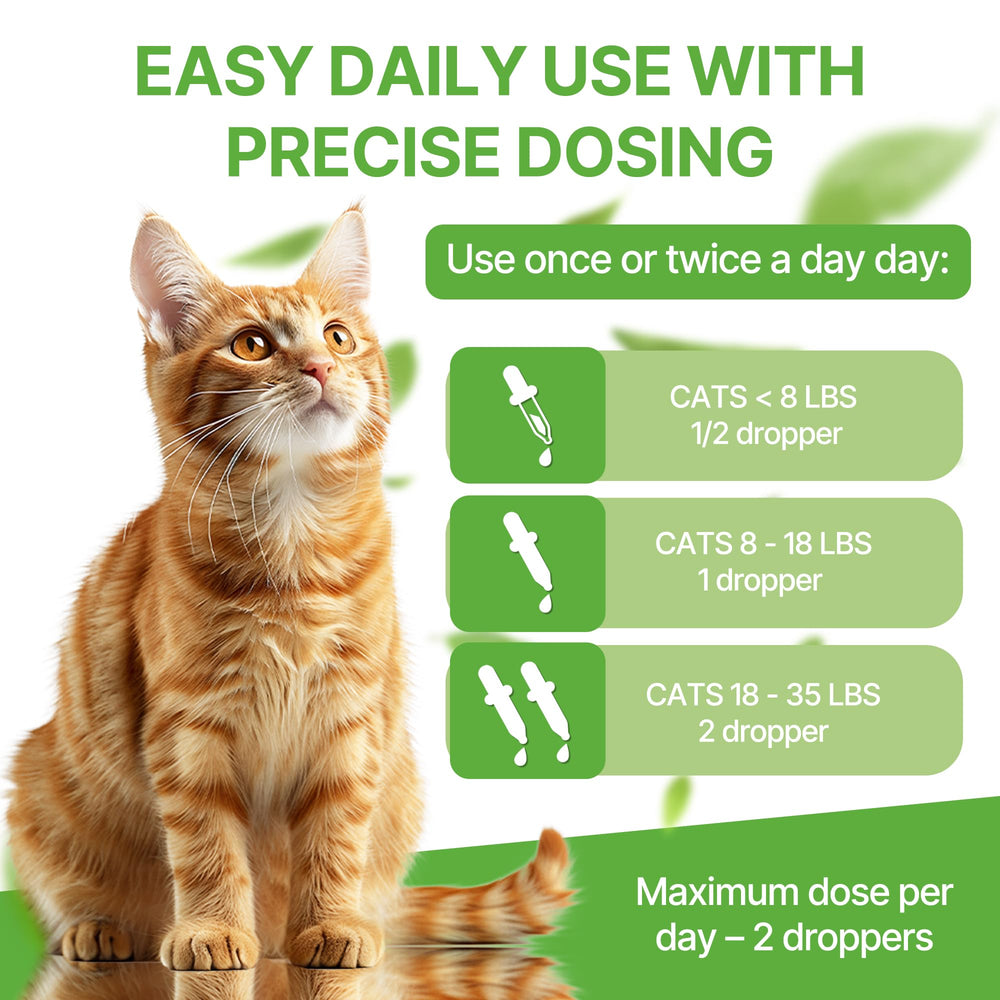 Clidelan Kidney Support packaging displays product details and dosage for easy use.