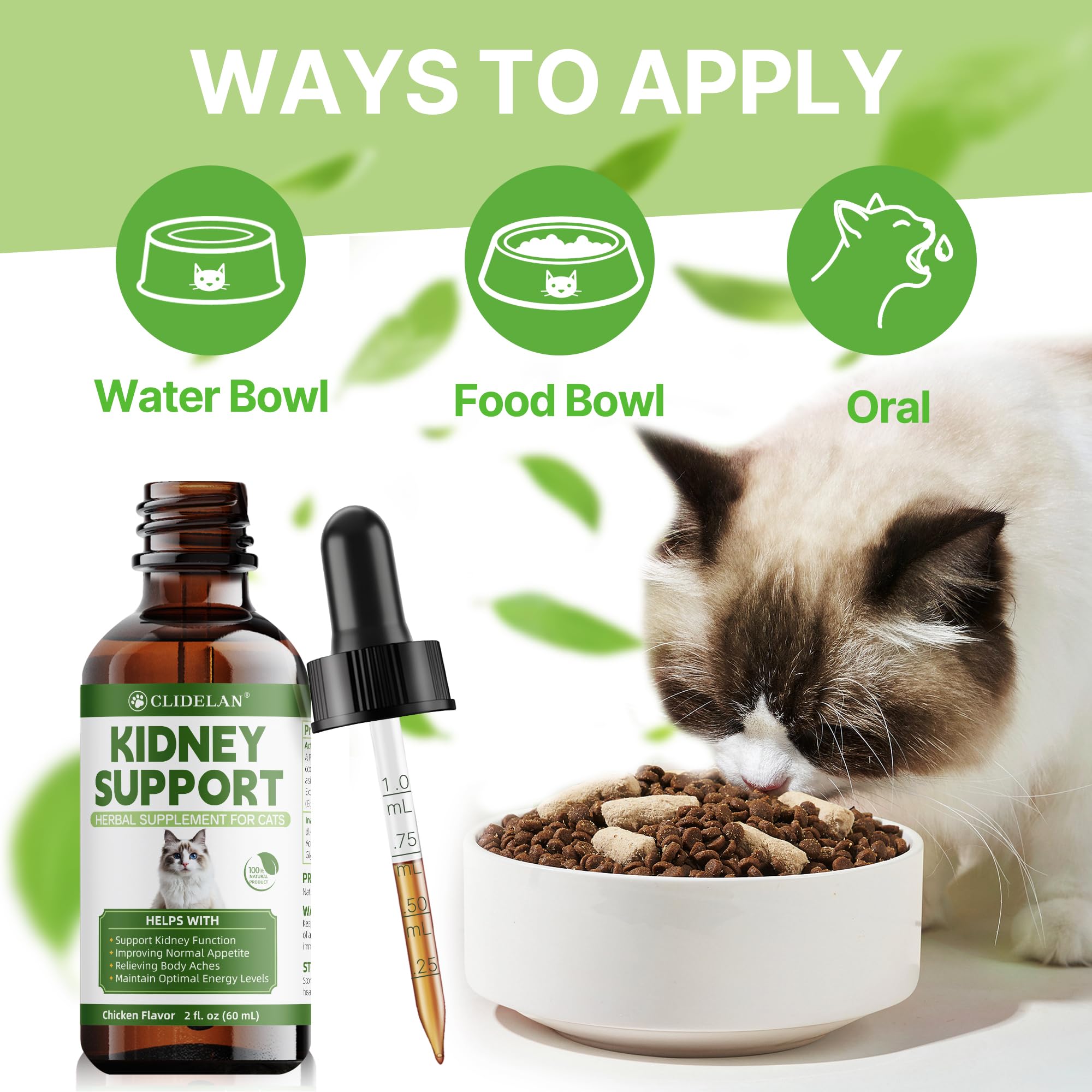 Clidelan veterinarian-formulated label conveys trusted, holistic care for kidney health.