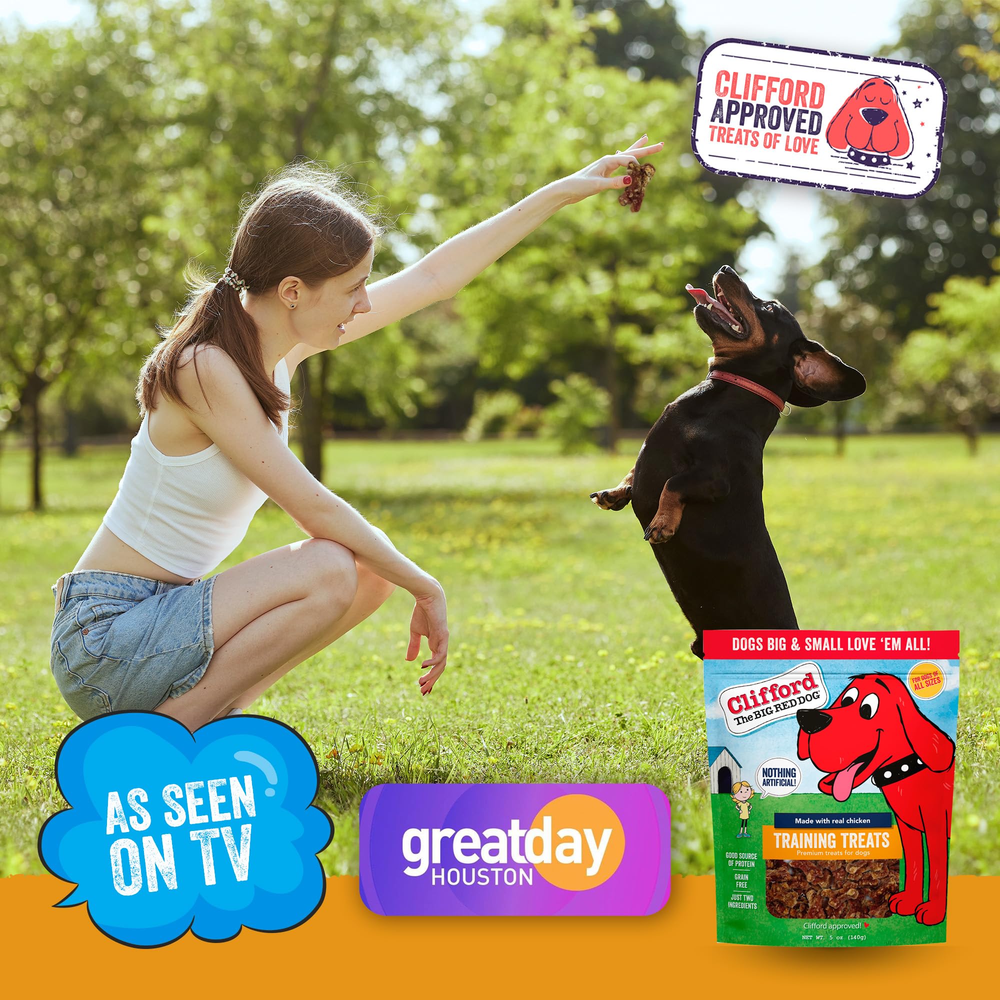 Clifford The Big Red Dog Soft Training Treats teething-chewy texture photo communicates gentler bites for pups.