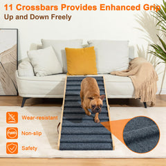Clikuutory dog ramp folded for quick storage under sofa or bed.