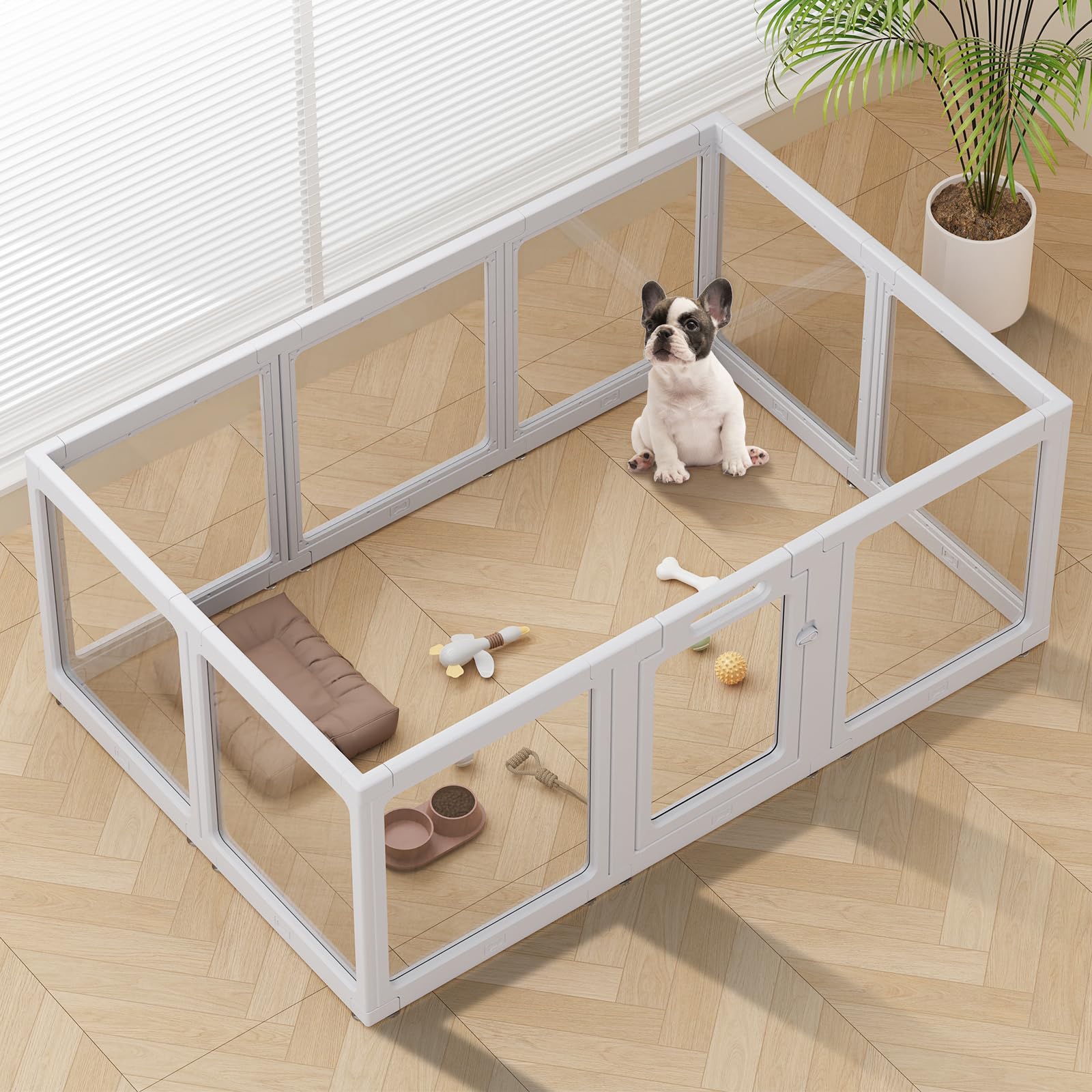 ClimbHope clear acrylic dog playpen assembled indoors for safe, supervised play.