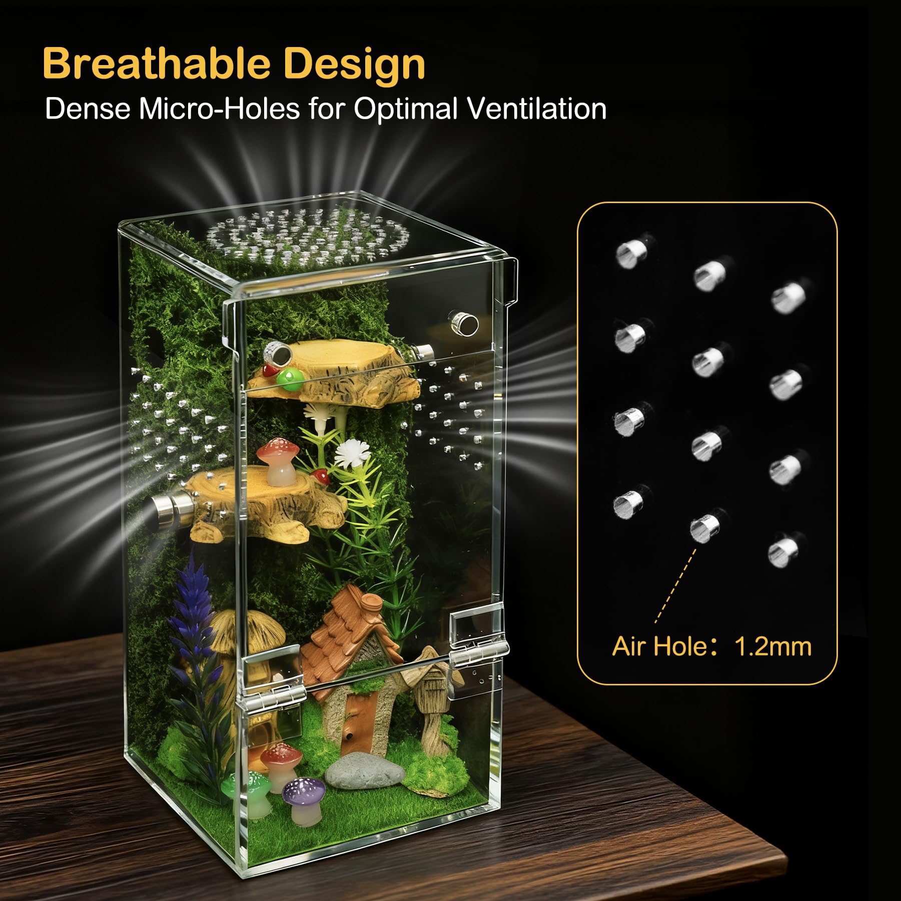 Clioran Jumping Spider Enclosure clear material for unobstructed viewing