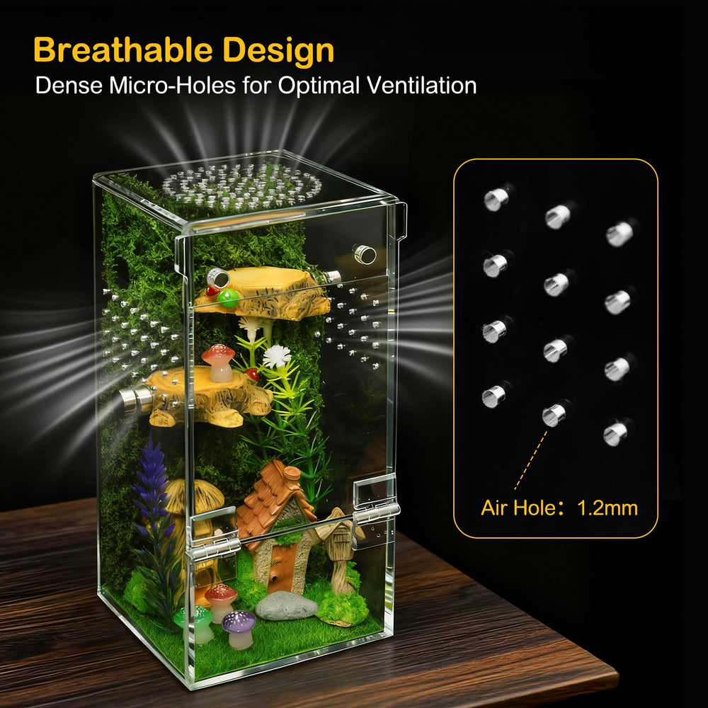 Clioran Jumping Spider Enclosure clear material for unobstructed viewing