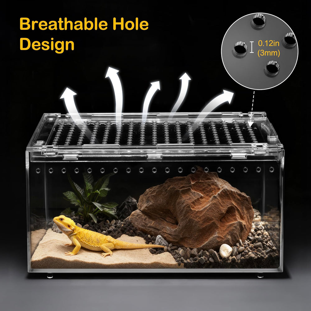 Clioran large terrarium front view showcasing ample space for small species