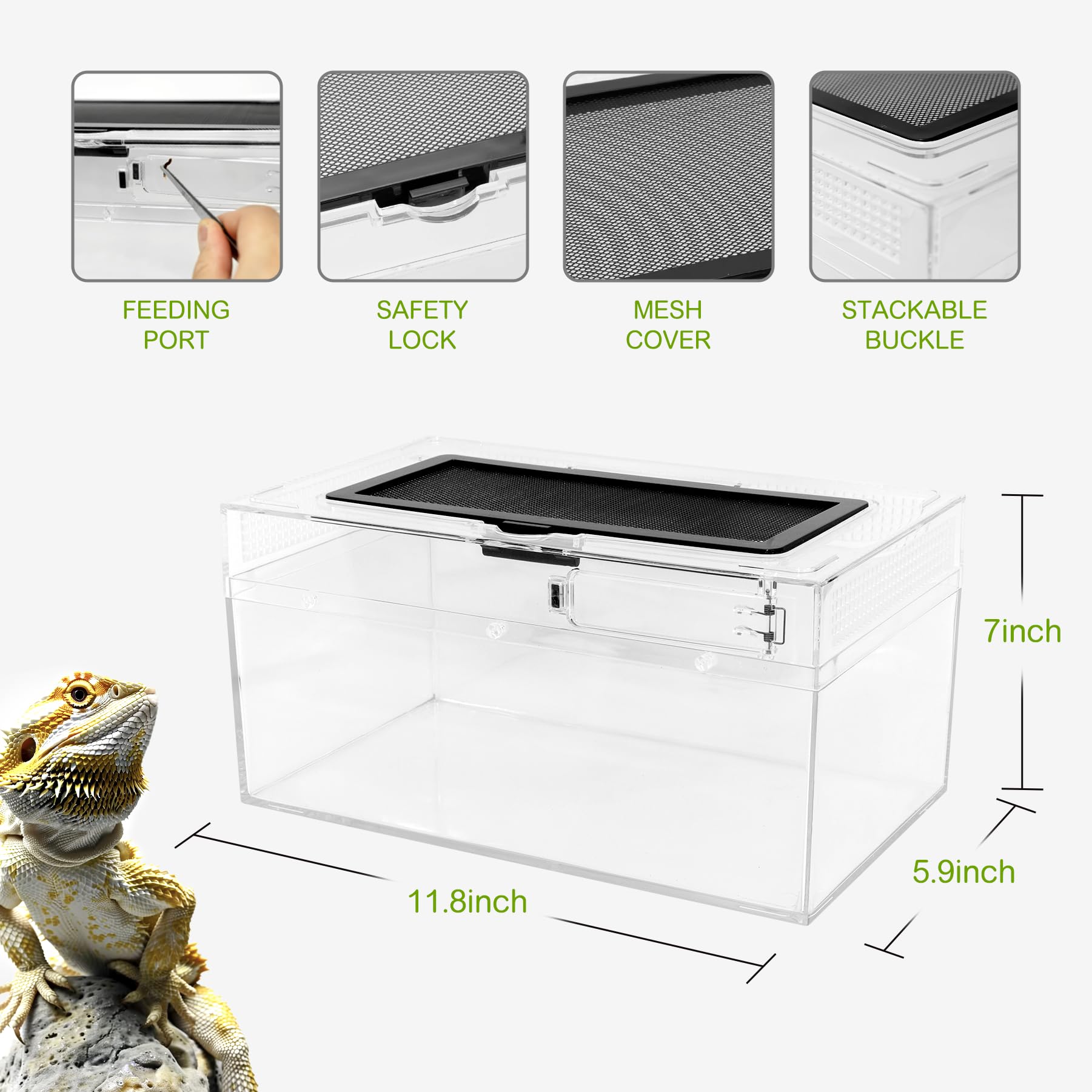 Clioran Reptile PC Terrarium 360° viewing for immersive habitat visibility.