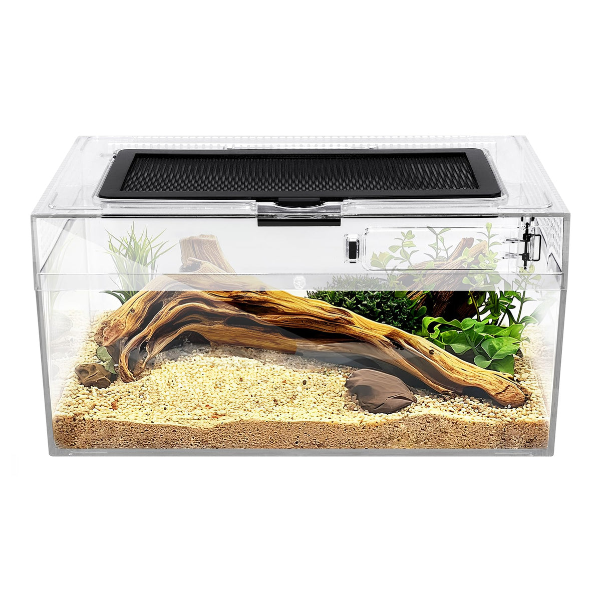 Clioran Reptile PC Terrarium front view highlights durable, clear enclosure for observation.
