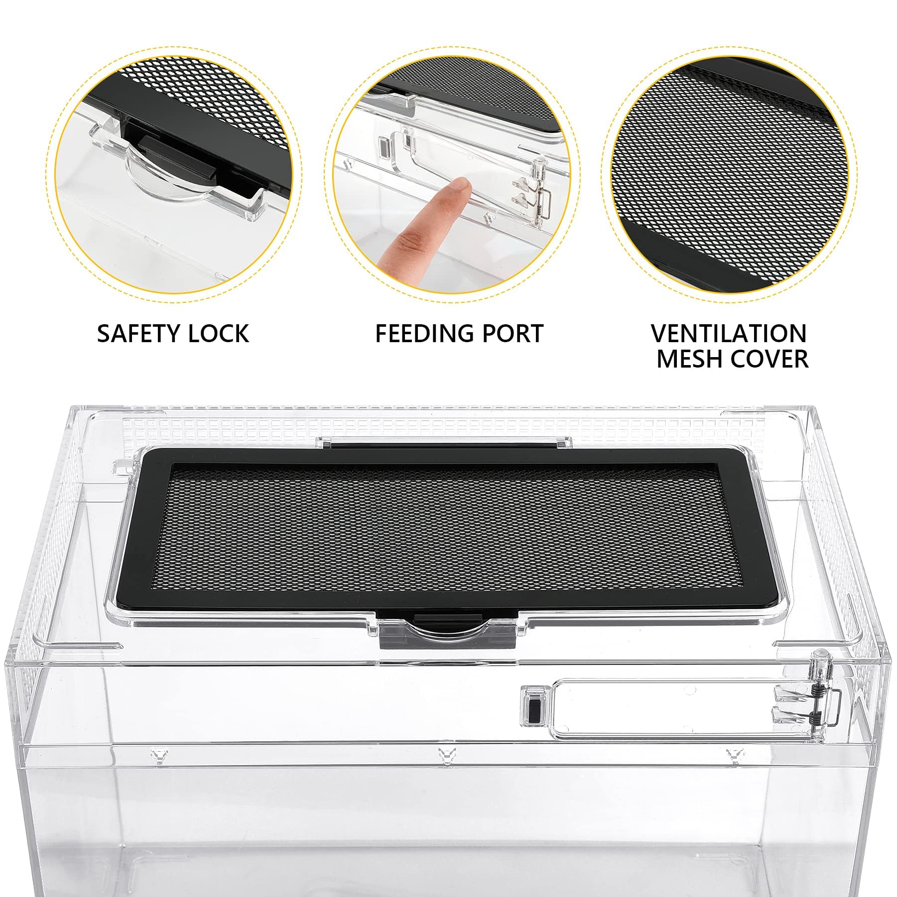 Clioran Reptile PC Terrarium top lid open enables easy feeding and cleaning.