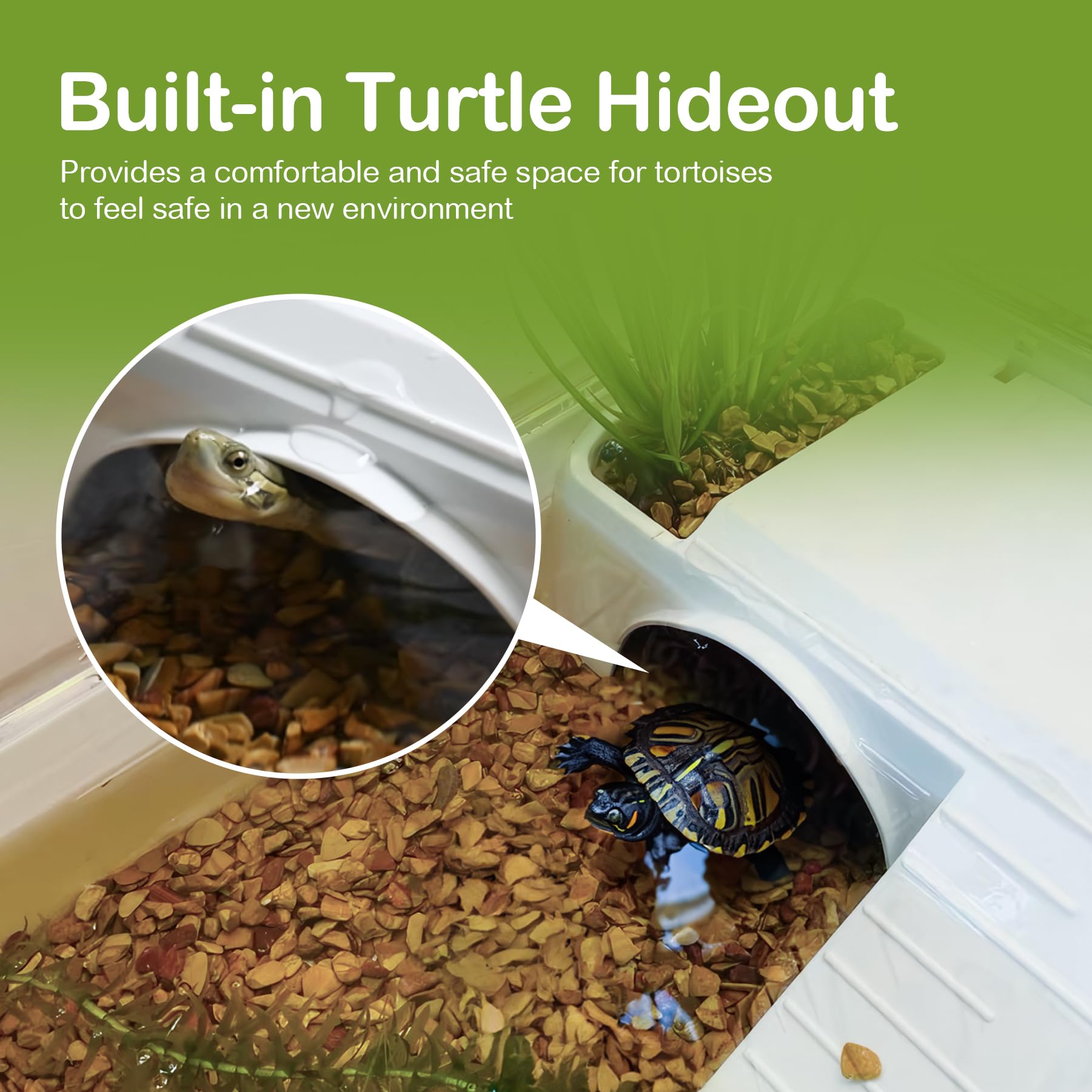 Clioran Turtle Tank Multi-Zone Design provides space for feeding, swimming, basking.