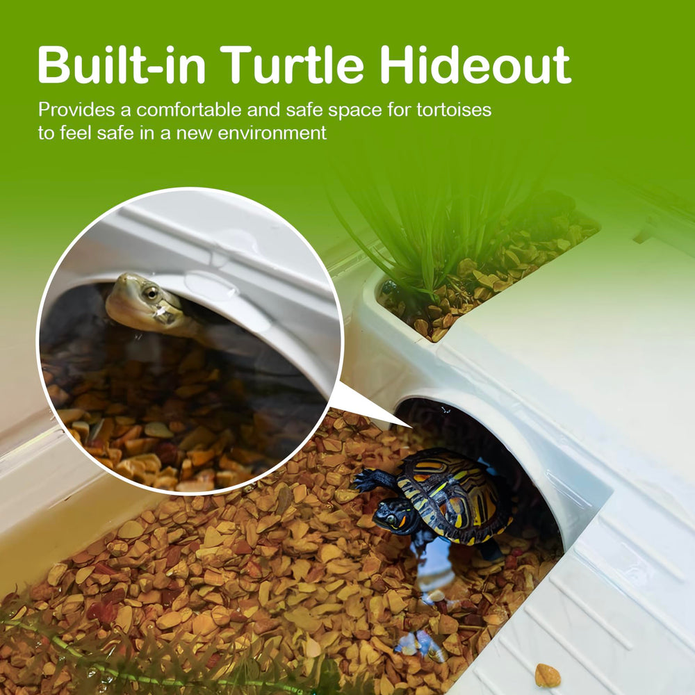 Clioran Turtle Tank Multi-Zone Design provides space for feeding, swimming, basking.