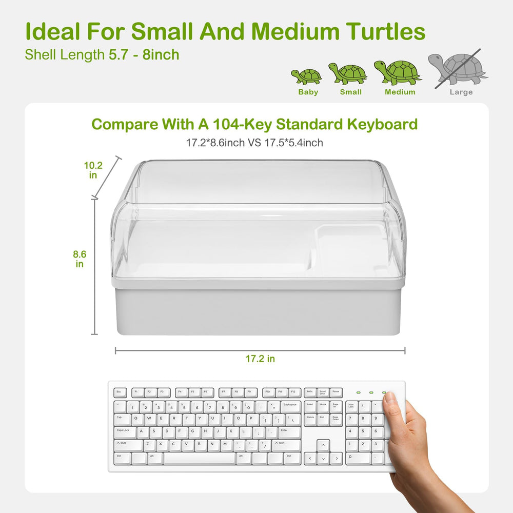 Clioran Turtle Tank Setup Hideout showing built-in retreat for security.