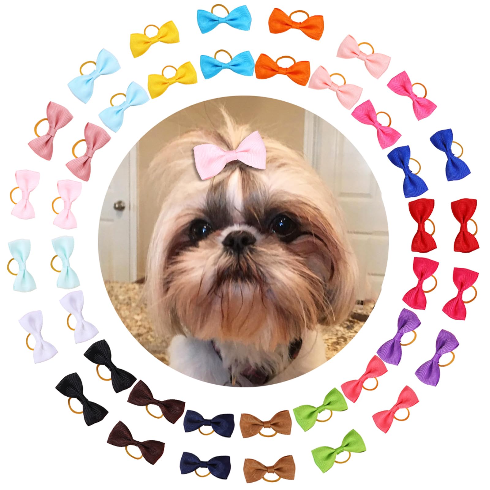 Clipband puppy bows pack with secure rubber bands for daily wear.