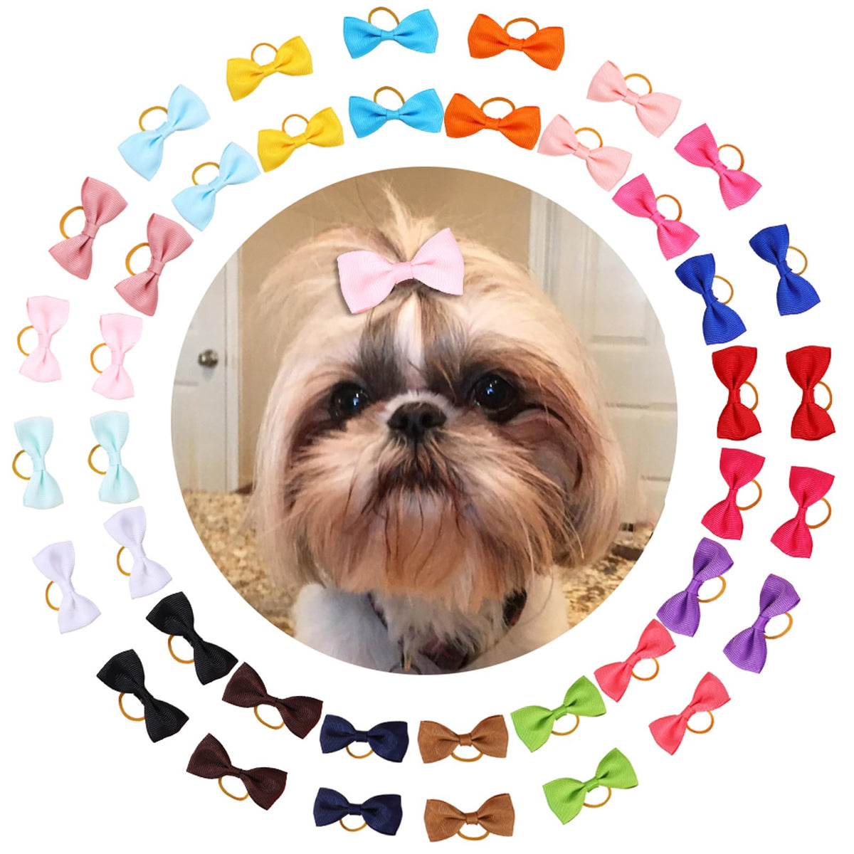 Clipband puppy bows pack with secure rubber bands for daily wear.