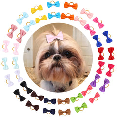 Clipband puppy bows pack with secure rubber bands for daily wear.