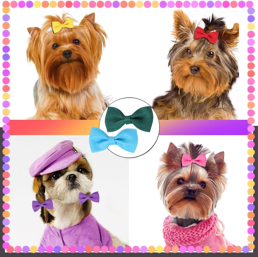 Clipband secure non-slip clip closeup showing gentle grip on fur