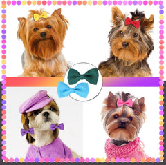 Clipband secure non-slip clip closeup showing gentle grip on fur