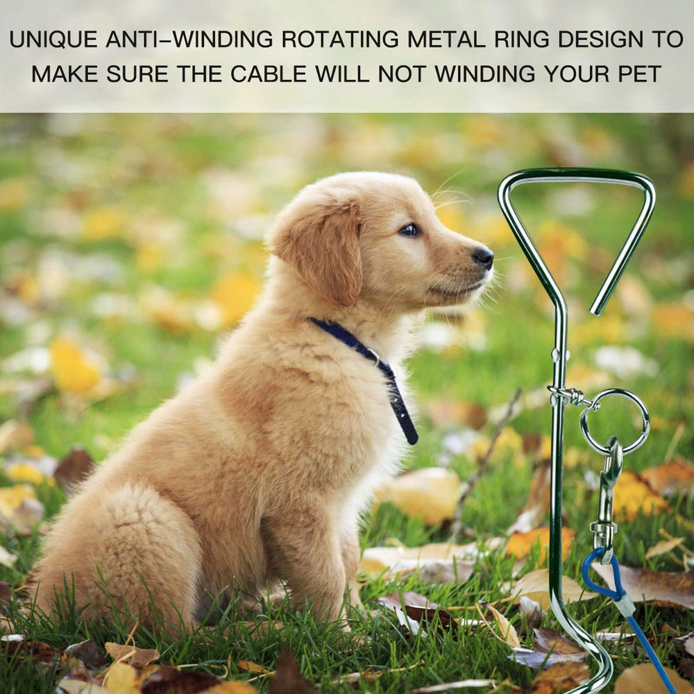 CLKHOWL anti-rust blue stake shows long-lasting durability in yards.