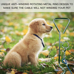 CLKHOWL anti-rust blue stake shows long-lasting durability in yards.