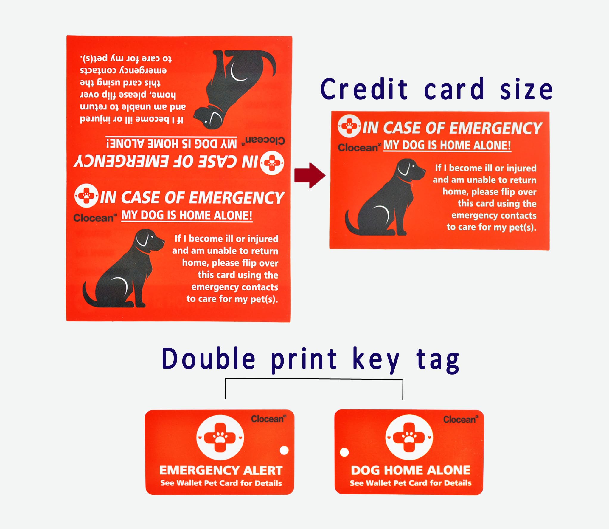 Clocean compact dog care accessory clipped to backpack