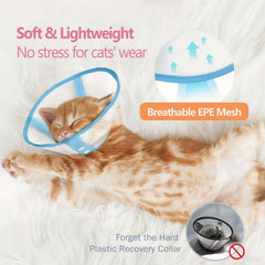 Clorvint blue cone collar close-up highlights cotton-lined edge for gentle neck comfort