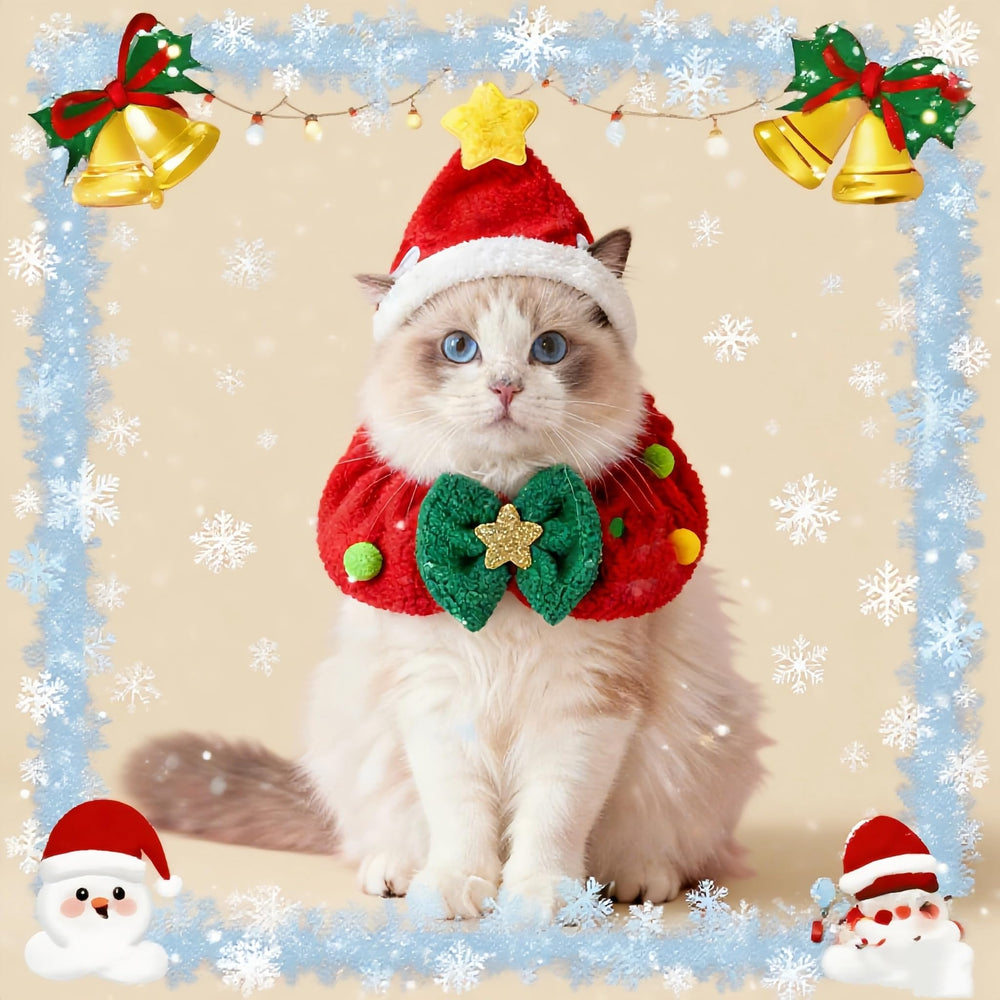 Clorvint festive outfit for photo shoots and holiday gatherings