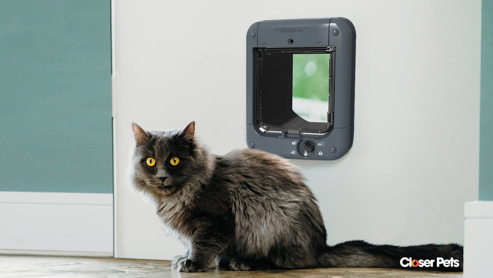 Closer Pets cat flap 4-way lock offers flexible in/out control