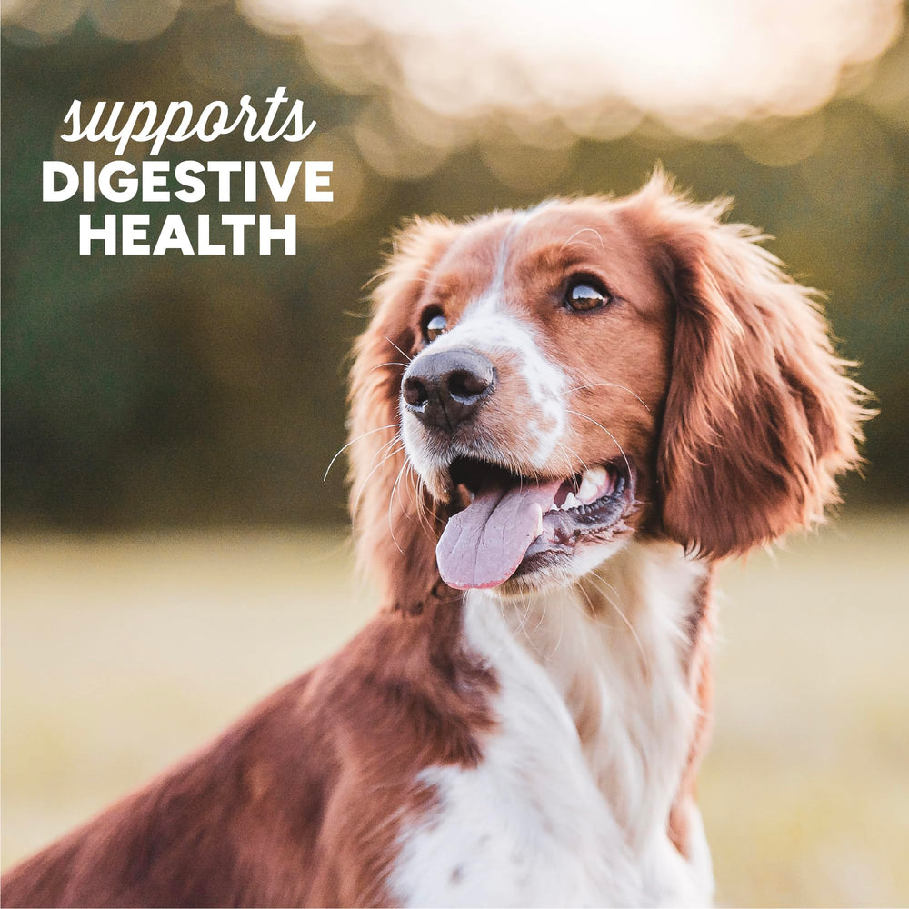 Cloud Star Dynamo Dog Tummy Chews grain-free formula label close-up.