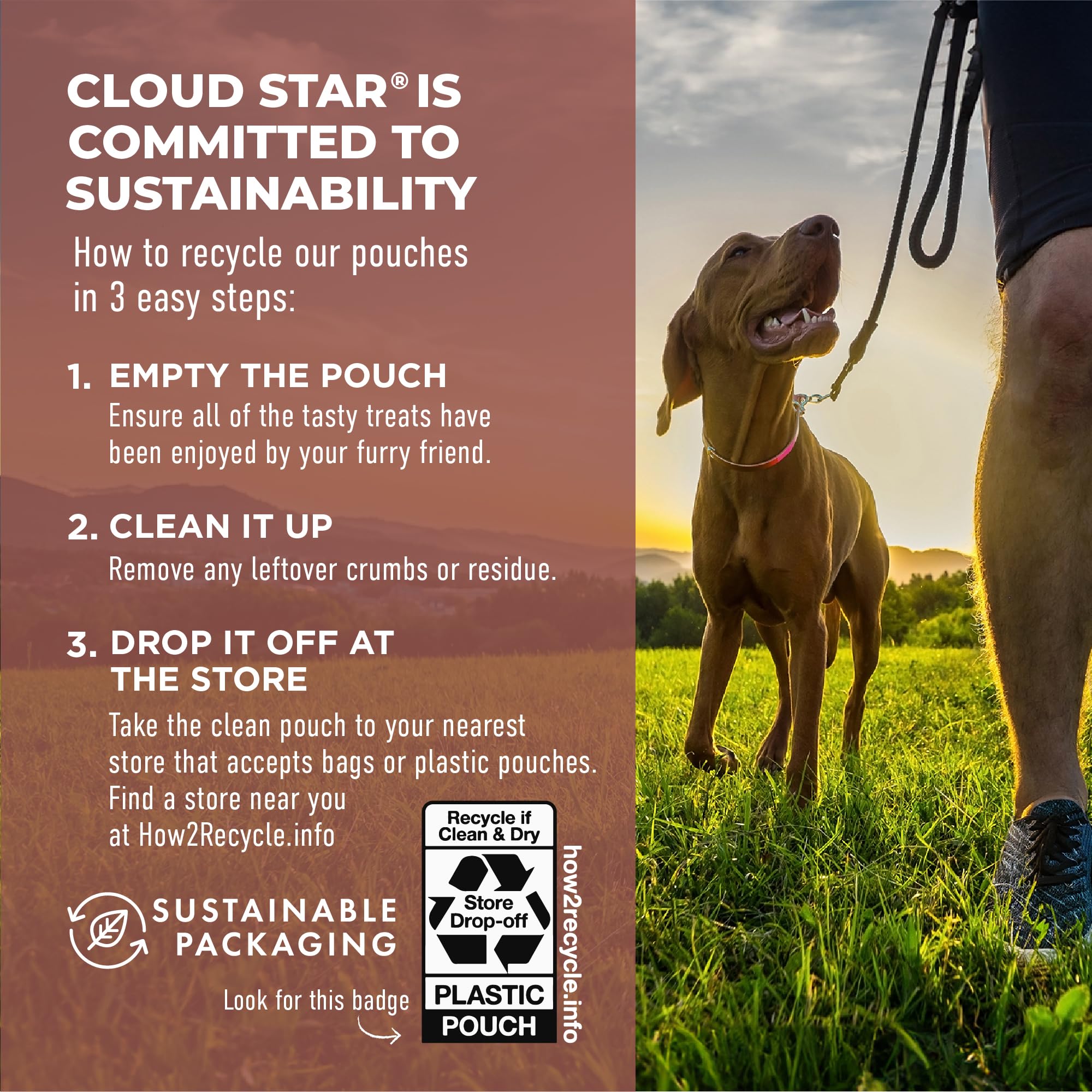 Cloud Star Dynamo Dog Tummy Chews snack-time moment with dog.