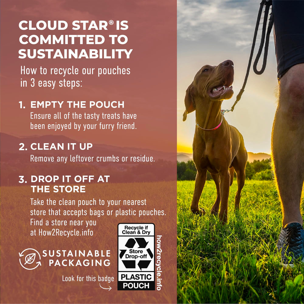 Cloud Star Dynamo Dog Tummy Chews snack-time moment with dog.