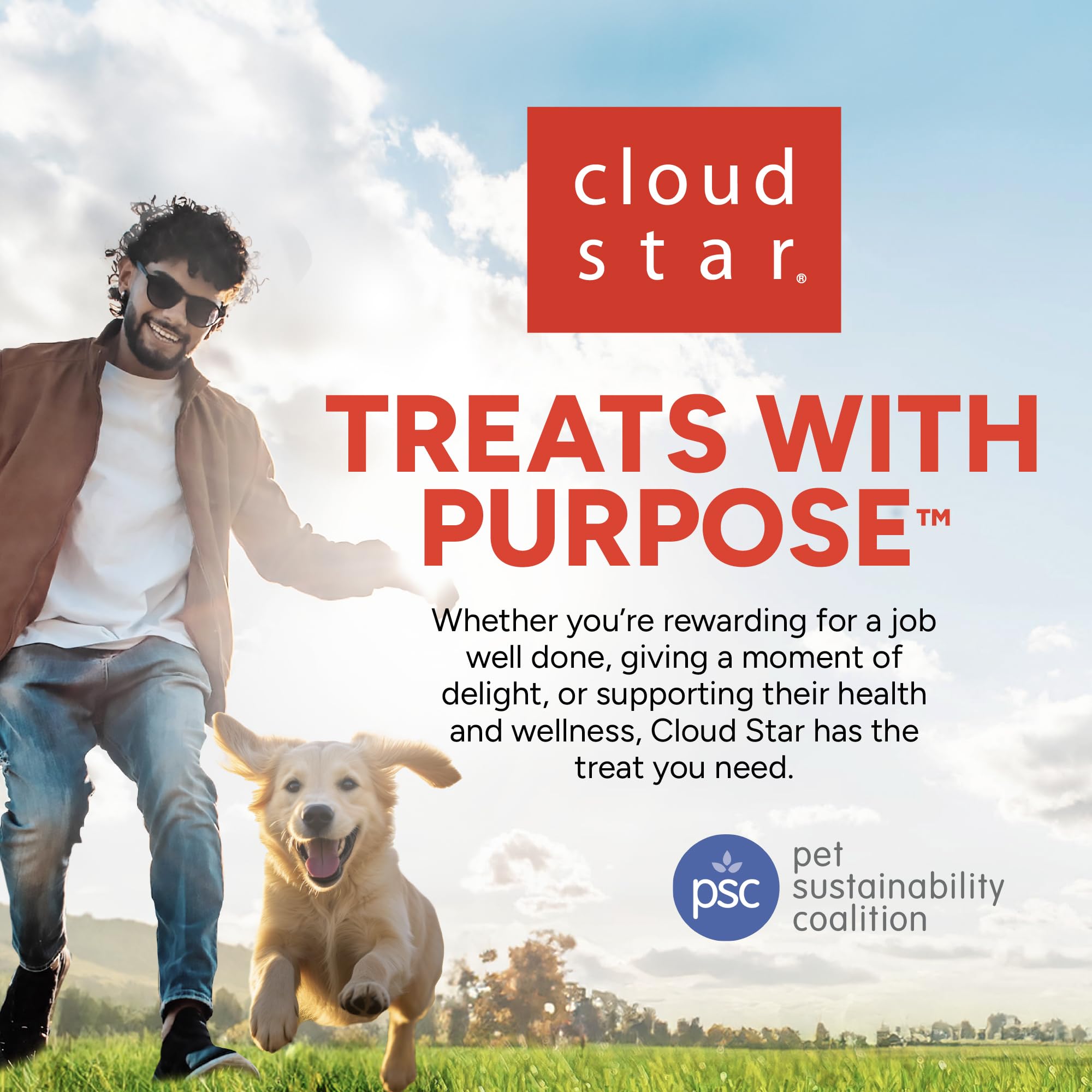 Cloud Star Dynamo Dog Tummy Chews tummy-friendly cravings fulfilled.