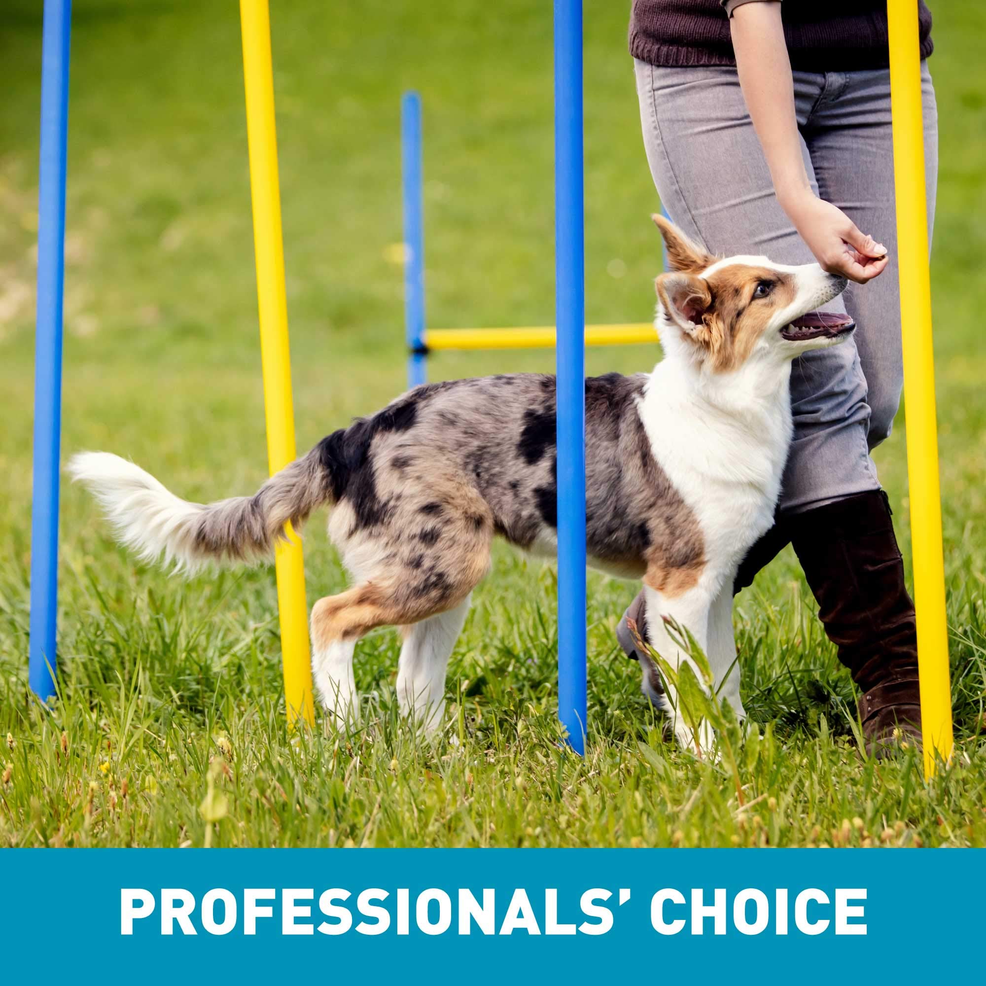 Cheddar flavor Tricky Trainers offering variety to keep training engaging